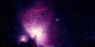 Jakie są wady i zalety nauki przez Internet?