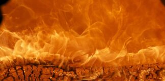 Jak wypromować swoją markę?