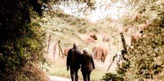 Ile wynosi maksymalna emerytura w Polsce?