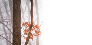 Jakie są negatywne skutki korzystania z internetu?