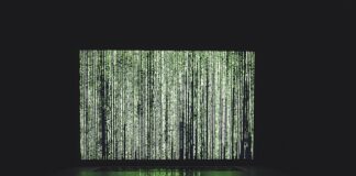 Do czego służy algorytm w informatyce?