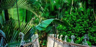 Jak sprzedawać kursy w internecie?