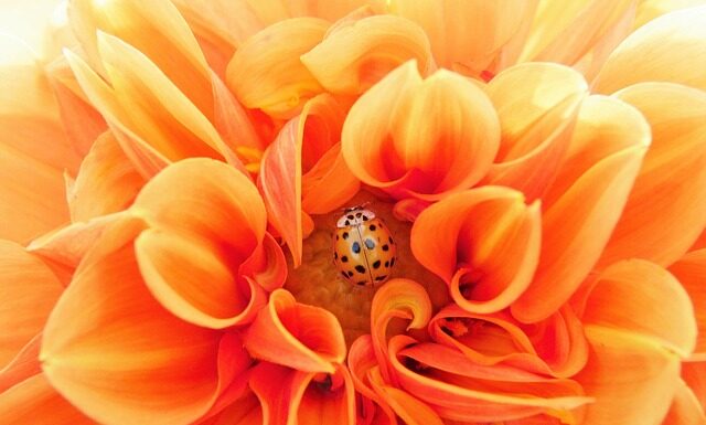 Kiedy zespół jest efektywny?