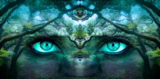 Jak zwiększyć świadomość produktu dzięki reklamom Google?