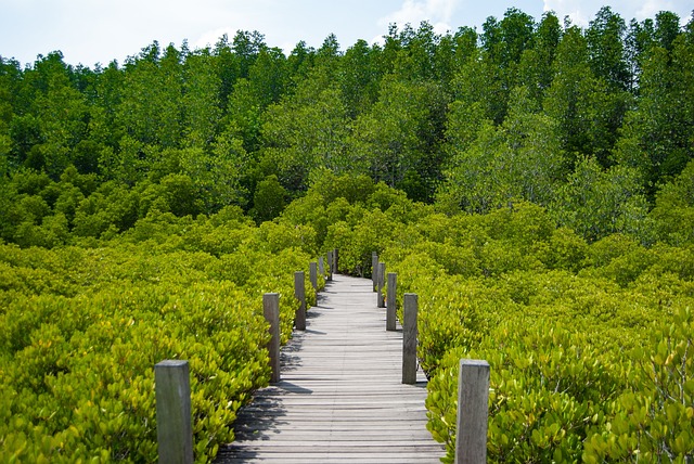 Czy widać jak się robi screeny na Teams? Czy widać jak się robi screeny na Teams?