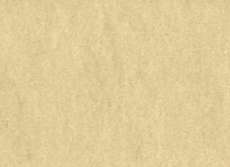 Czy certyfikaty Udemy coś dają?