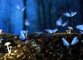 Co to jest struktura dostawców?