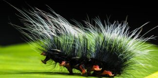 Co to jest zwinny łańcuch dostaw?