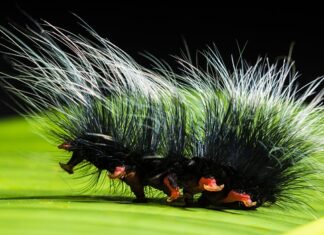 Co to jest zwinny łańcuch dostaw?