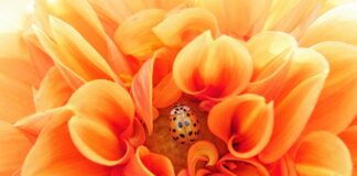 Jak stać się efektywnym?