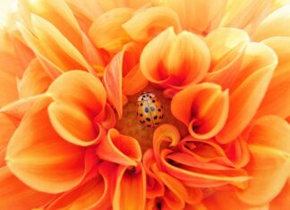 Jak stać się efektywnym?