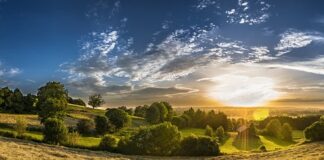 Co to znaczy distance learning?