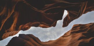 Jakie są formy rynku?