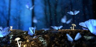 Co to jest struktura finansowa?