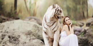 Kto nie podlega ochronie wizerunku?