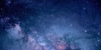 Dlaczego badania marketingowe odgrywają tak istotną rolę w zarządzaniu przedsiębiorstwem?