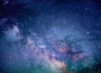 Na czym polega badanie rynku?