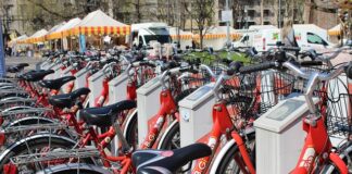 Czym charakteryzuje się Zrównoważona logistyka i zarządzanie łańcuchem dostaw?