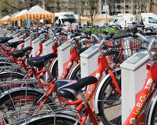 Czym charakteryzuje się Zrównoważona logistyka i zarządzanie łańcuchem dostaw?