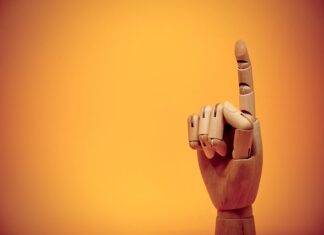 Czy Shiba inu wzrośnie?