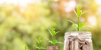 Jak firmy postrzegają rynek?