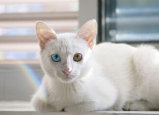 Na czym polega współpraca z dostawcami?