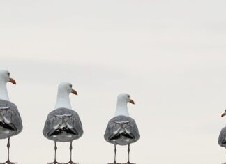 Czym jest zintegrowany łańcuch dostaw?