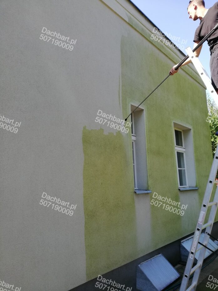 odgrzybianie elewacji