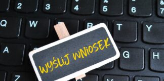 Jak skutecznie zarejestrować się w bazie danych odpadowych (BDO)