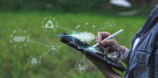 5 Korzyści kompleksowego doradztwa środowiskowego