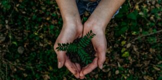 Co warto wiedzieć na temat odzysku opakowań z tworzyw sztucznych